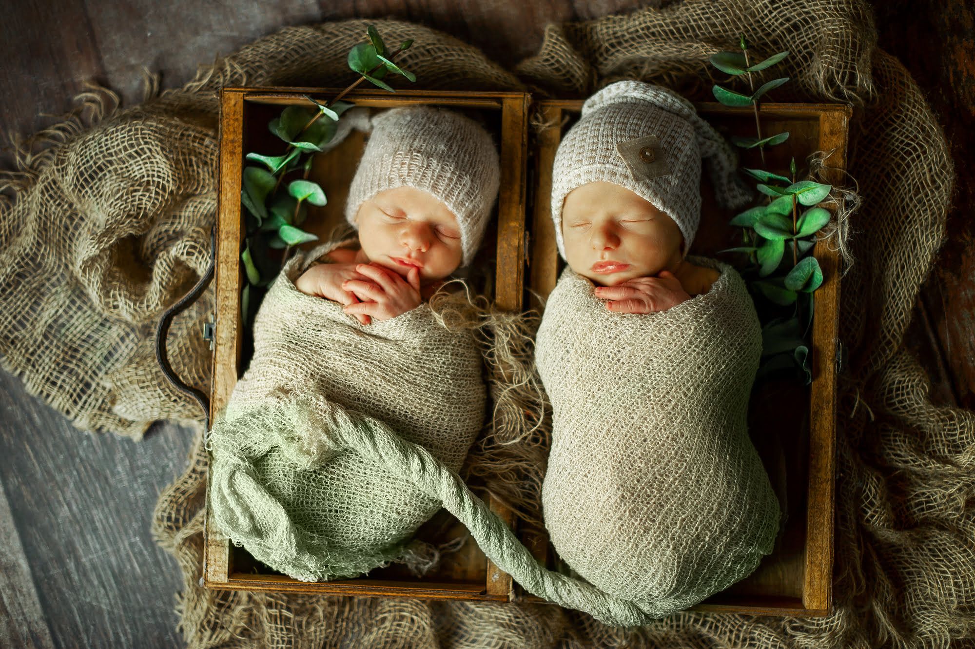 Newborn & Baby Fotoshootin, Premiumpaket, zwei Babys