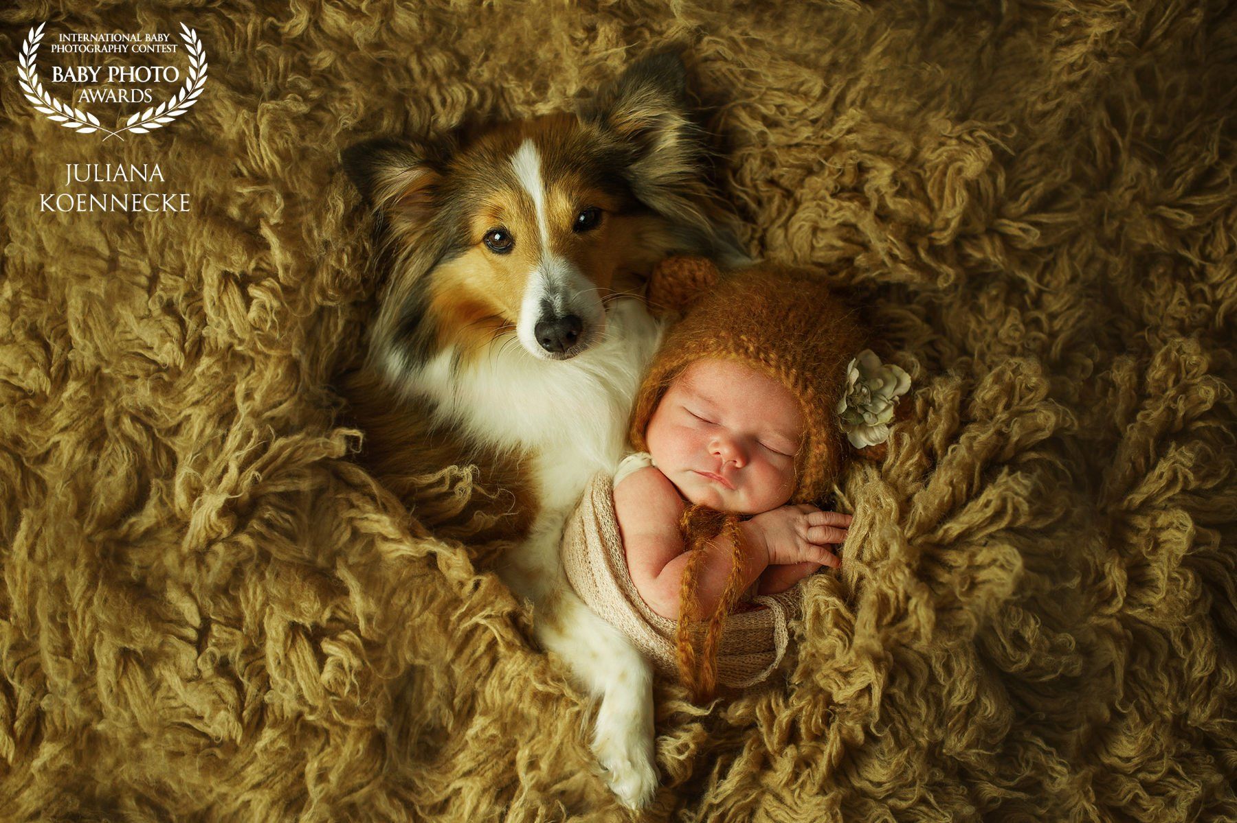 A collie is lying on a cozy blanket, its back legs are almost completely hidden by the blanket. In the dog's arms, a small baby hugs the blanket and the dog.