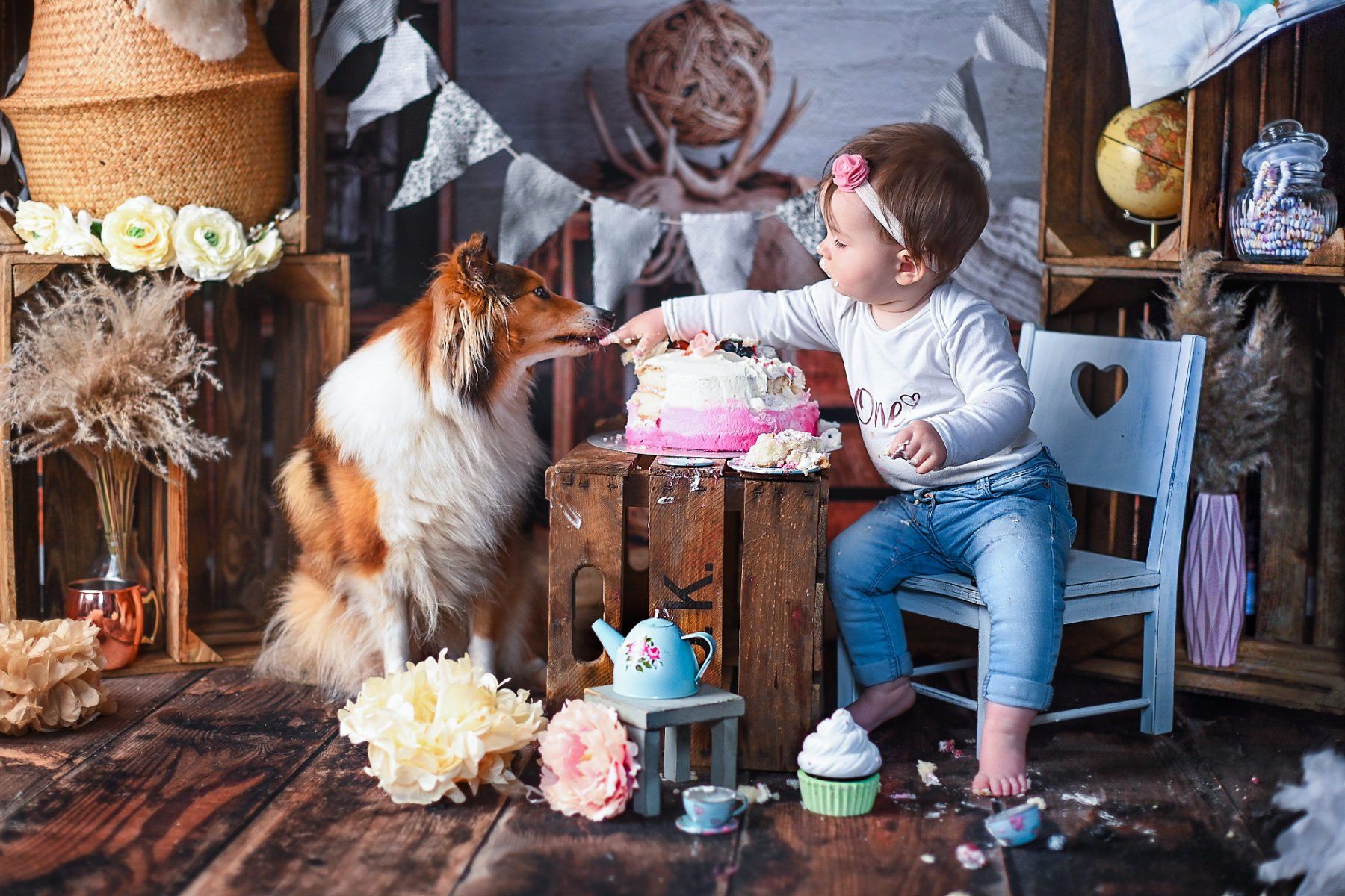 A baby in a chair bends over a cake and lets a collie sitting on the other side lick its fingers.