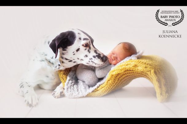 Ein kleines Baby schläft auf einer dekorativen Liege. Ein Dalmatiner beugt sich liebevoll dem Baby zu. Der Hintergrund ist weiß.