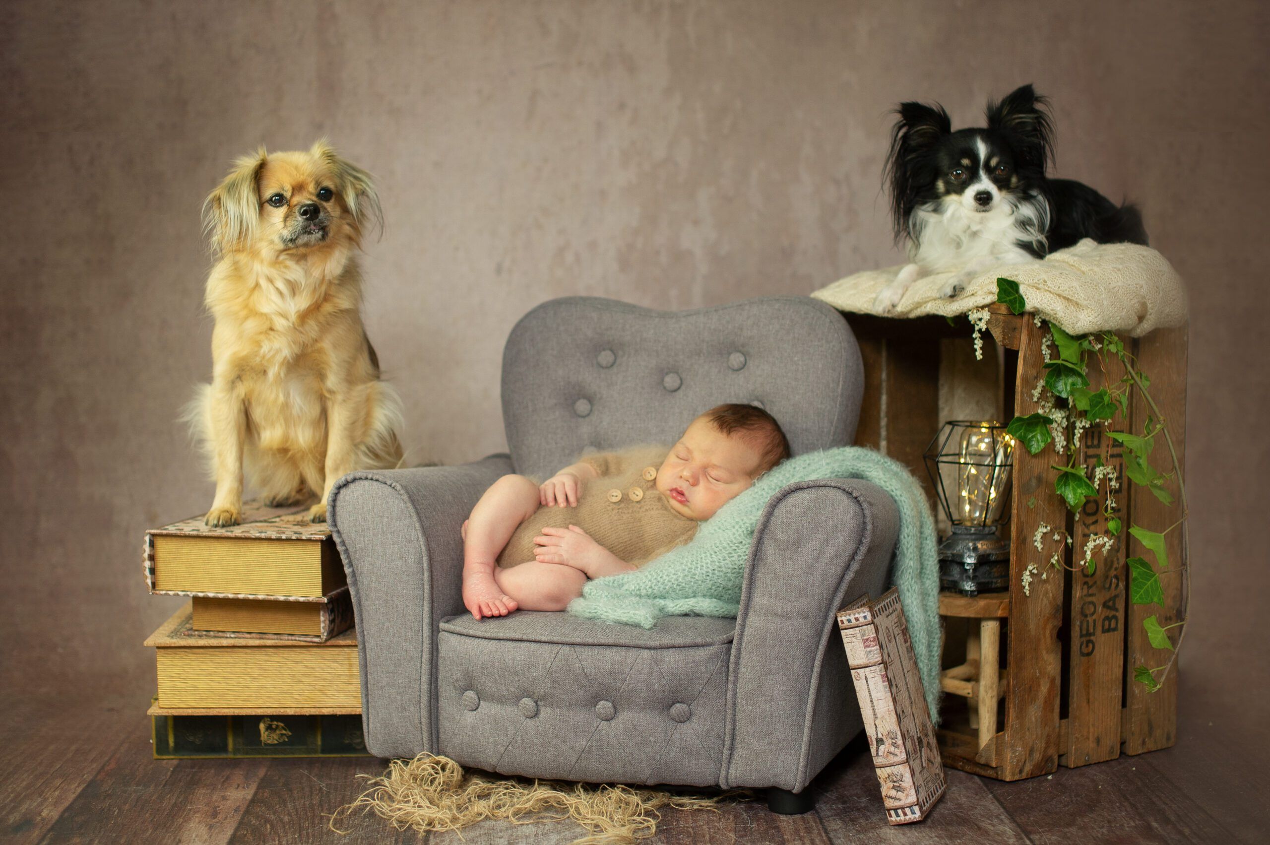 A baby lies in the armchair and sleeps. A small dog is sitting on decorative objects to the right and left of it. On the right a black and white, on the left a beige one