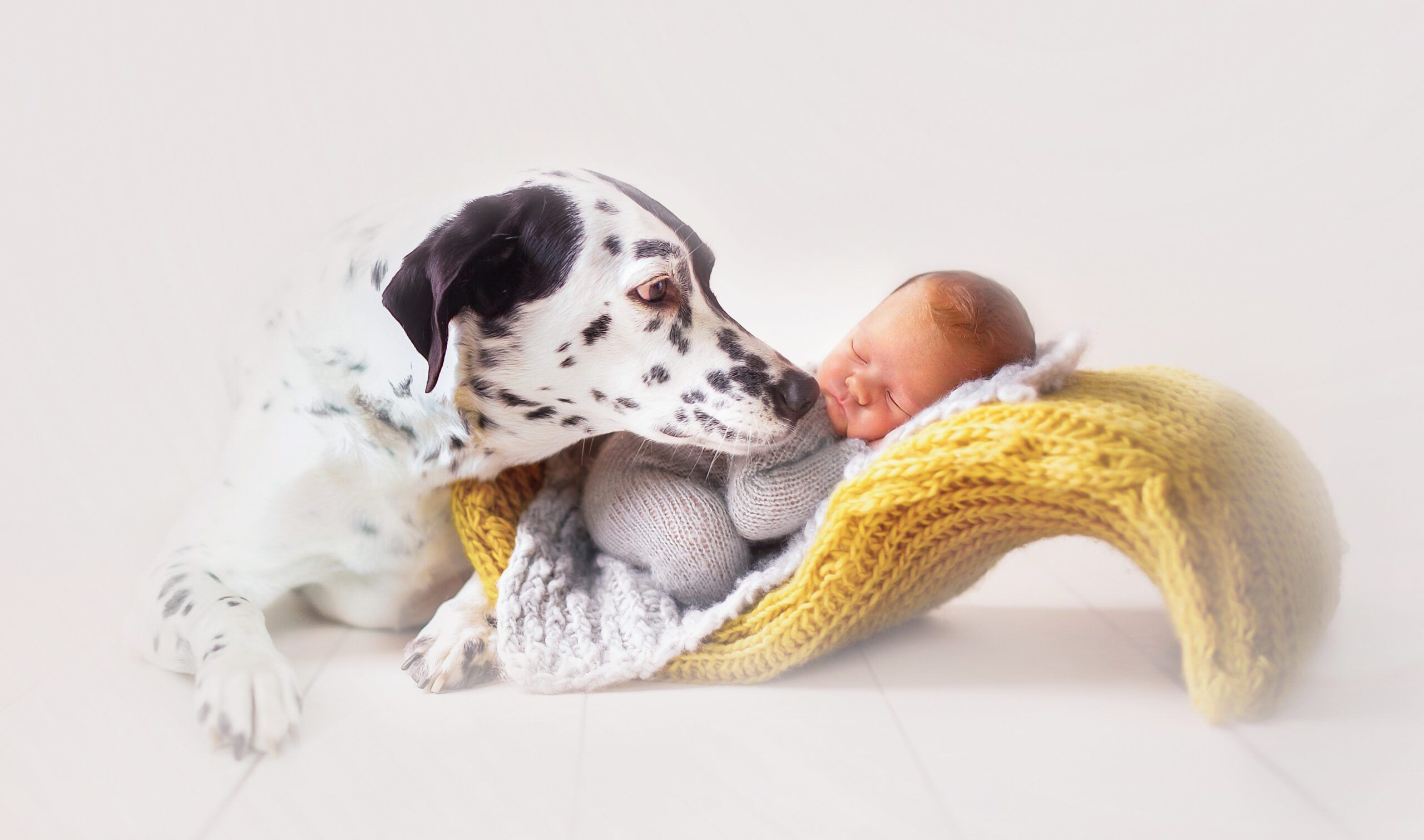 A baby lies on an S-like prop and sleeps. Next to it, a dalmatian hugs the baby very closely.