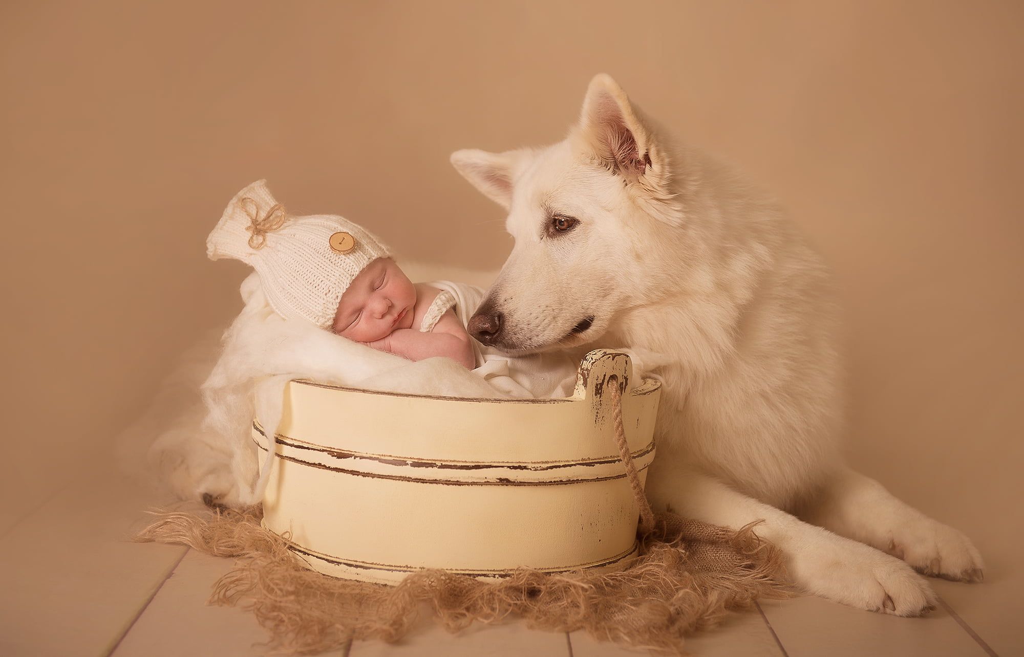 A baby lies asleep in a white wooden tub. A large, white dog is lying diagonally behind it and has turned its head to the sleeping baby, apparently envious.