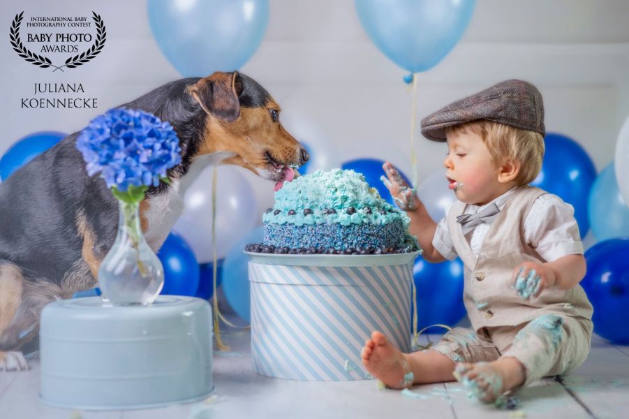 Smash Cake Shooting mit Hund und Baby. In der Mitte steht eine blaue Torte. rechts daneben sitzt ein Baby und betrachtet fasziniert die Torte und greift mit den Fingern hinein. Auf der linken Seite leckt ein Hund über die Torte.