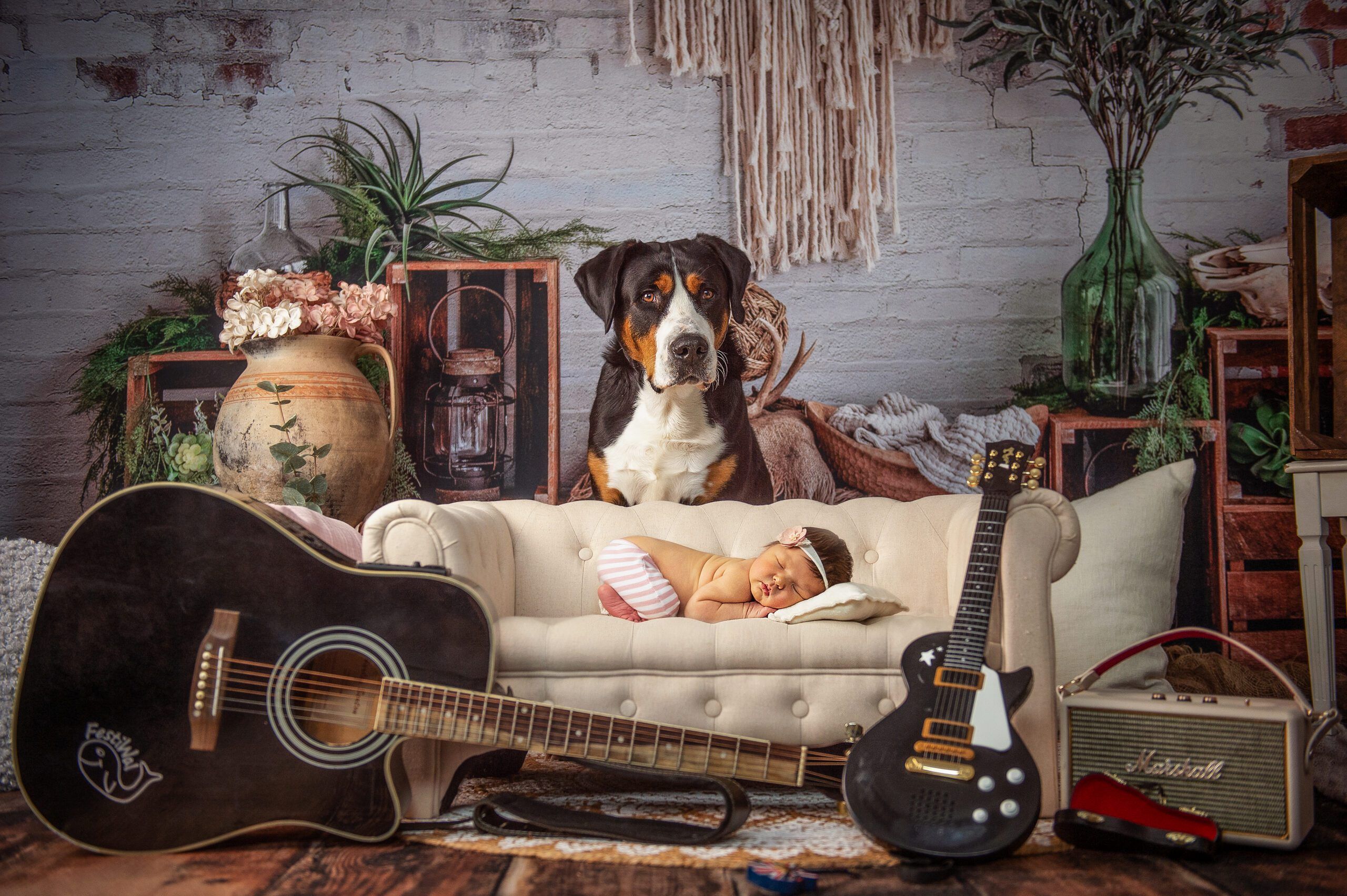 A small, sleeping baby lying prone on a cream two-seater sofa. Behind it a large dog is looking over the sofa. In the foreground are two guitars, a small guitar case and a guitar amplifier.