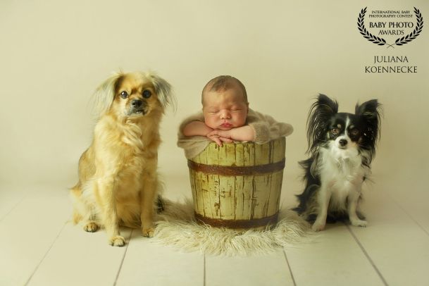 Ein Baby sitzt in einem hölzernen Eimer und schläft. Rechts und links sitzen zwei kleine Hunde und schauen zum Fotografen.